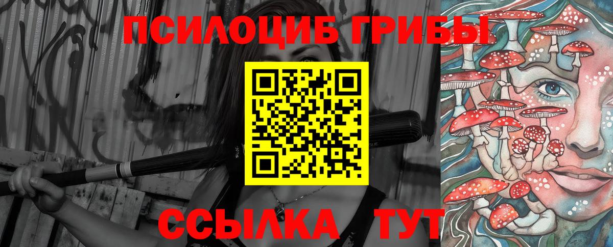 Псилоцибиновые грибы Psilocybe Луховицы
