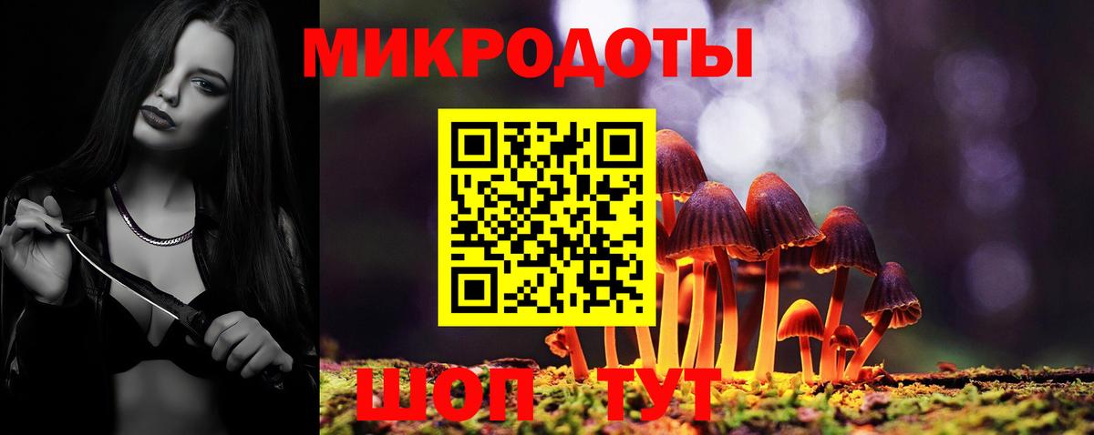 Луховицы  Псилоцибиновые грибы Psilocybe  Вход с VPN 